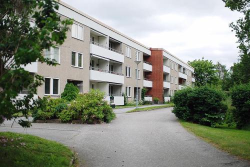 DSC 4971