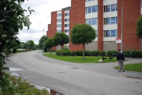 DSC 4999