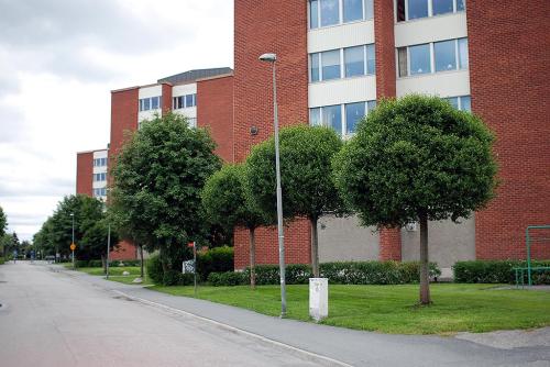 DSC 5007